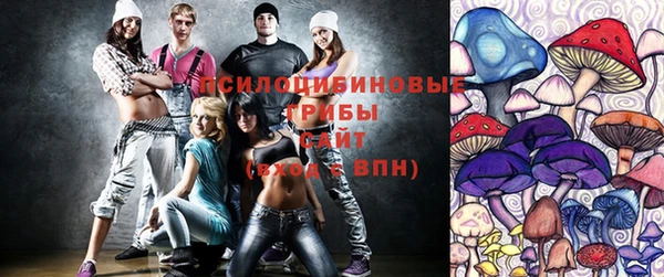 мдпв Абдулино