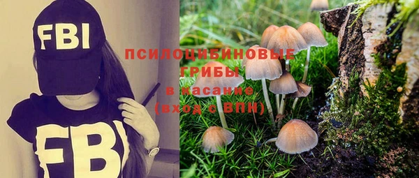 крисы Абинск