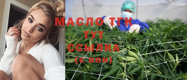 спиды Ельня