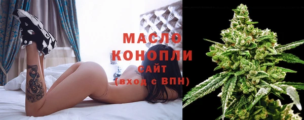 эйфоретик Гусев