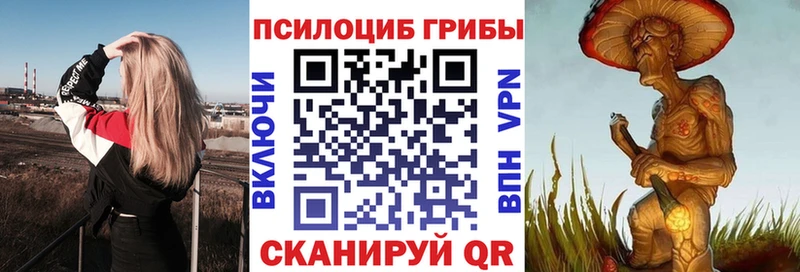 продажа наркотиков  Шебекино  omg ТОР  Псилоцибиновые грибы Cubensis 
